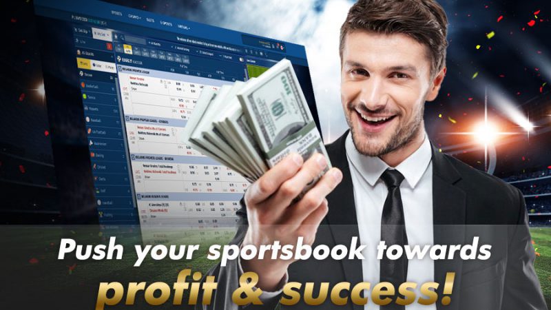 Push your sportsbook towards profit & success! - GamingSoft News