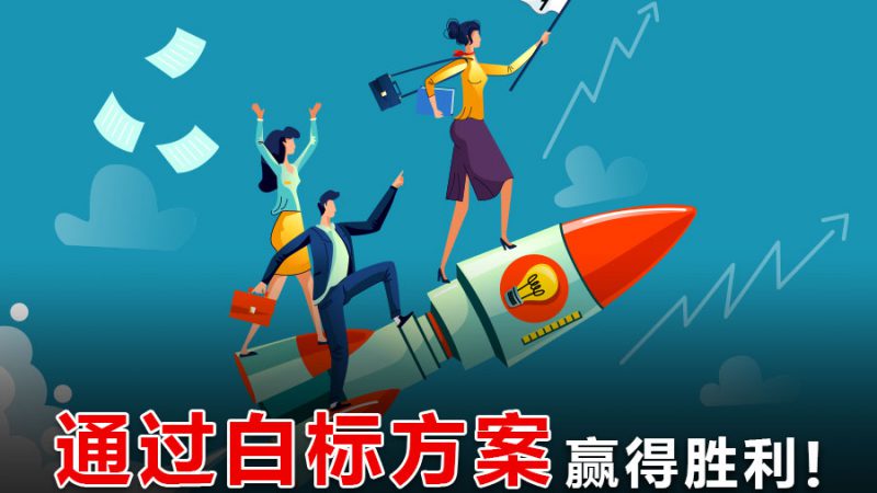 5个理由为什么您应该选择娱乐平台包网方案