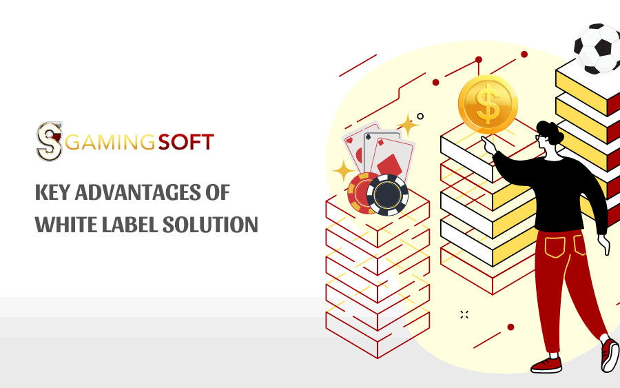 KEY ADVANTAGES OF THE WHITE LABEL SOLUTION