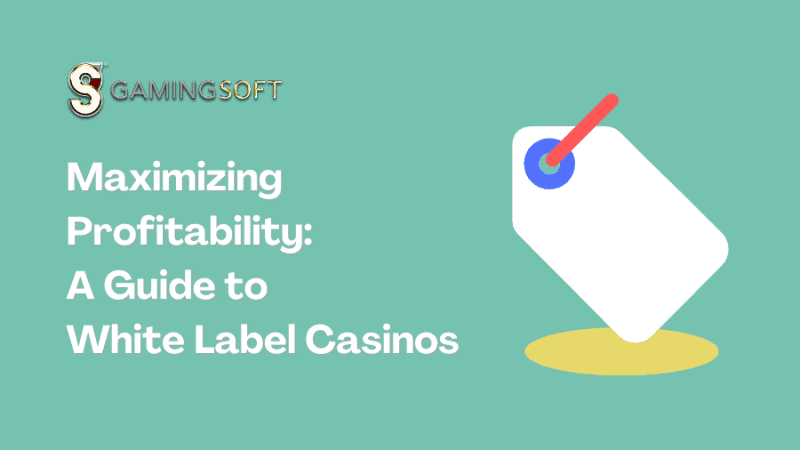 Maximizing Profitability: A Guide to White Label Casinos