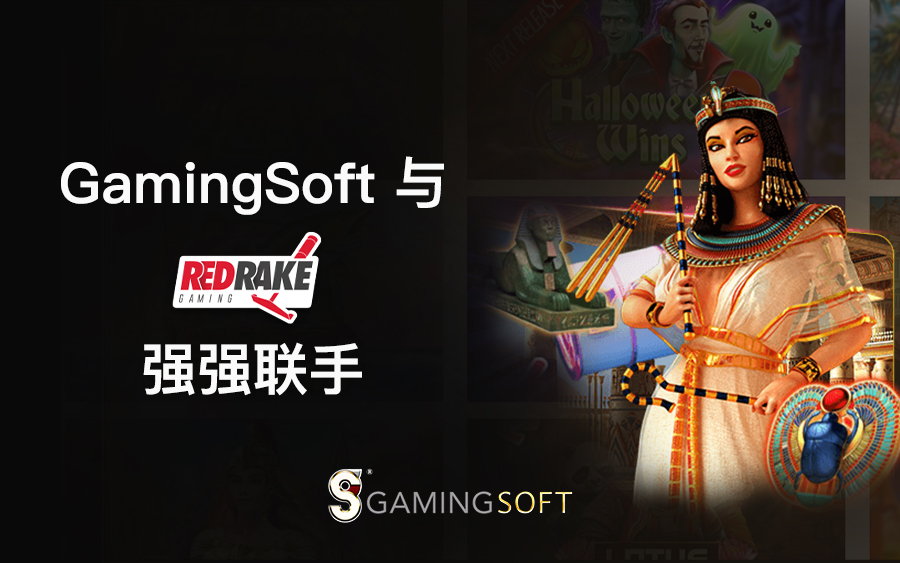 GamingSoft